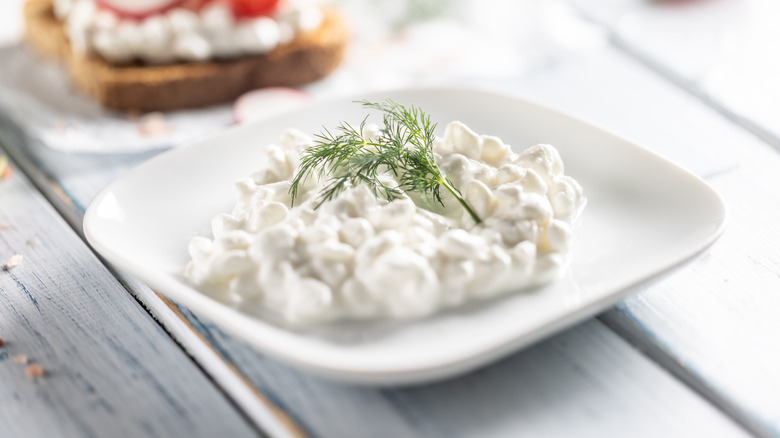 Cottage cheese on a plate