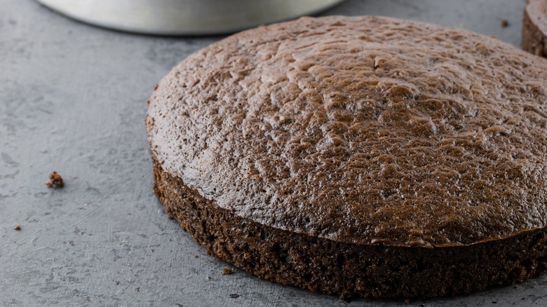 Unfrosted chocolate layer cake