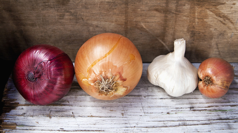 Three onions and a garlic bulb