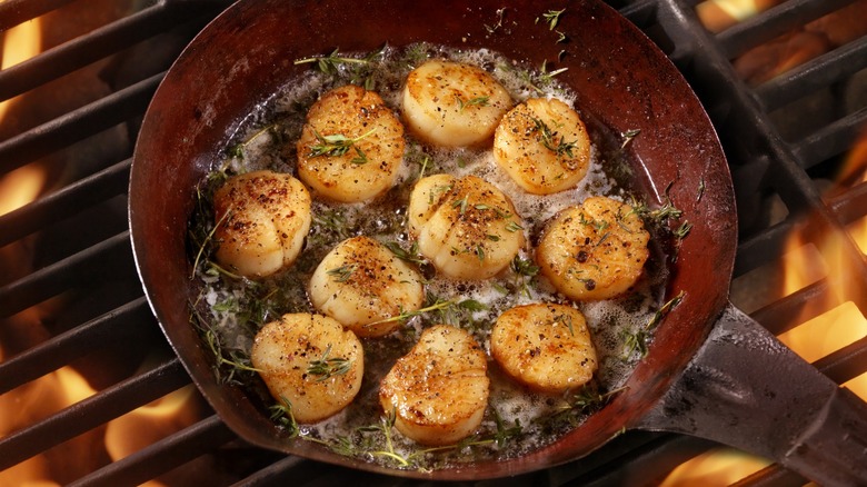 Searing scallops with herbs