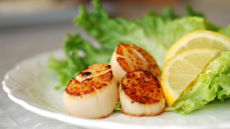 Seared scallops with lemon