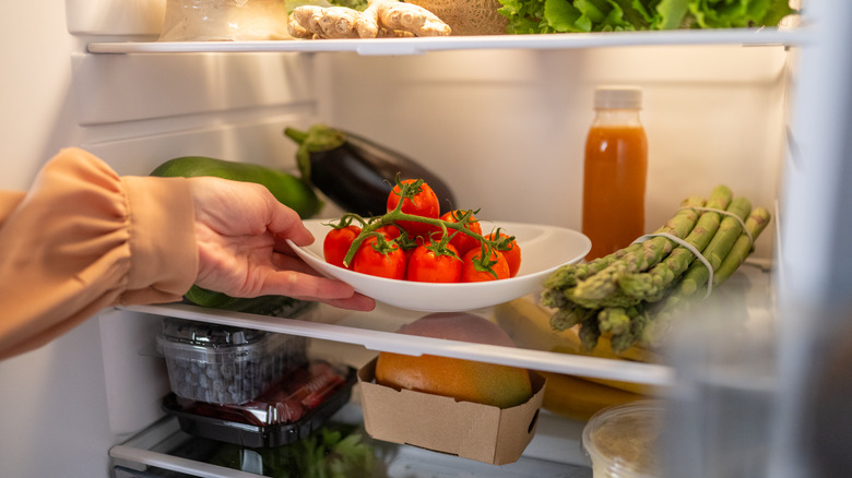 Putting a plate of fresh tomatoes in the refrigerator