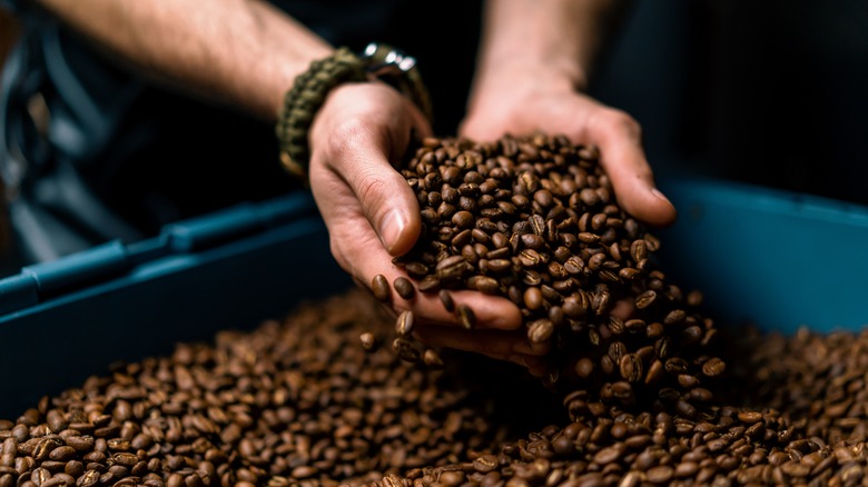 A bin of coffee beans