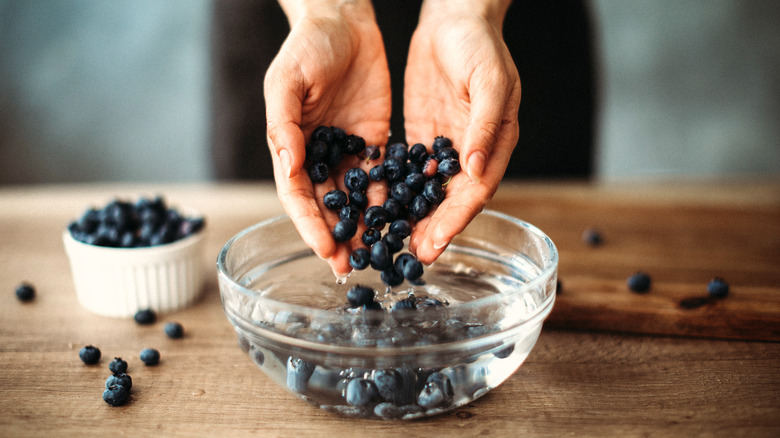 Person dropping blueberries into a bowl of water.