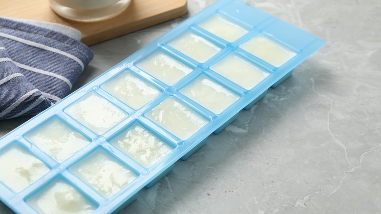 milk in ice cube tray 
