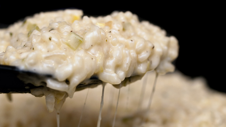 Spoonful of creamy risotto