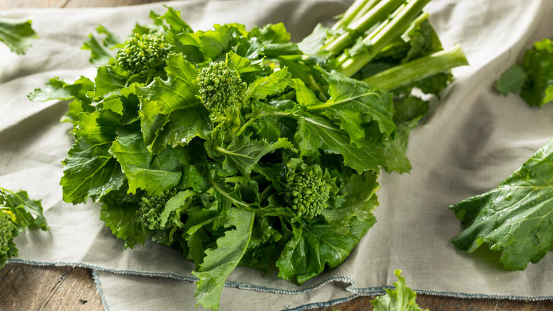 A bunch of broccoli rabe on a dish towel