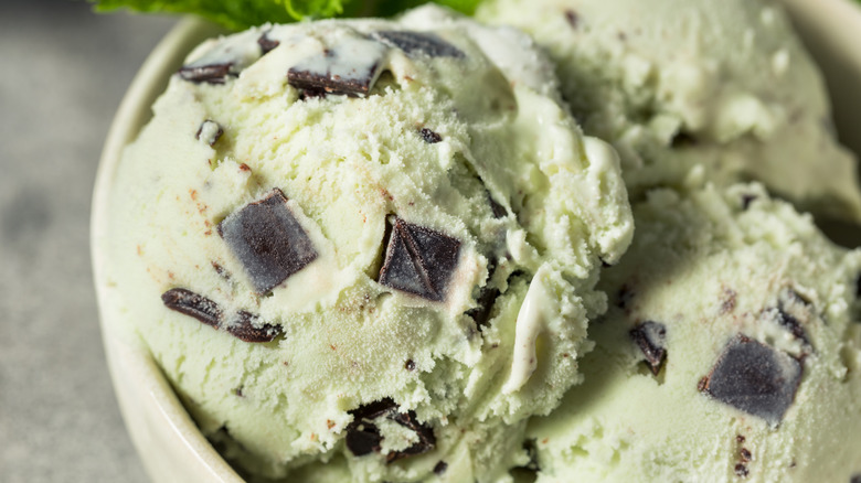 mint chocolate chip ice cream in white bowl