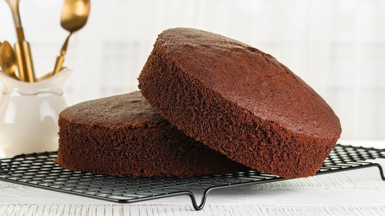 Chocolate cake on baking rack