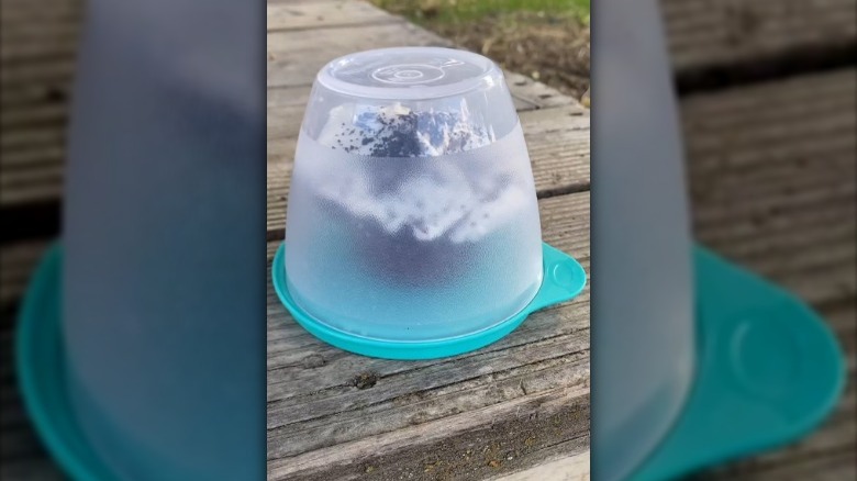 Cupcake in upside down tupperwater