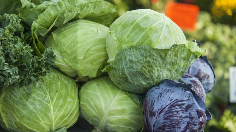 Heads of cabbage at farmer's market