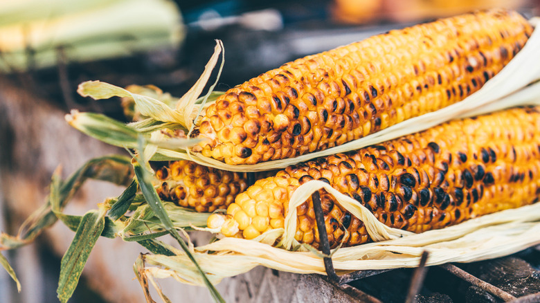 grilled corn on the cop with husks