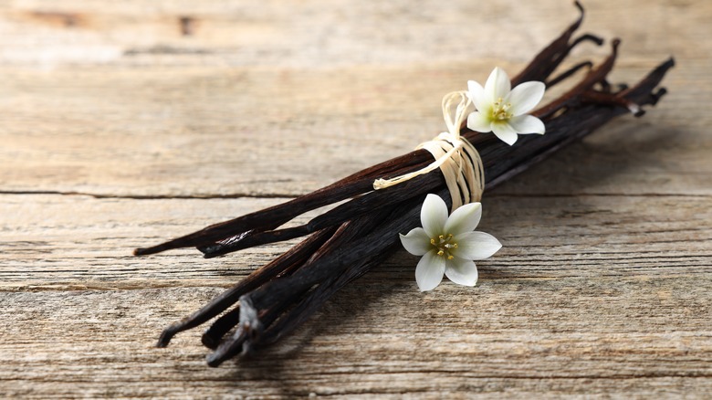 tied bunch of vanilla beans