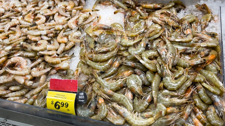 Fresh raw shrimp at store