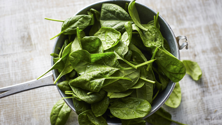 Raw baby spinach in a sauce pot