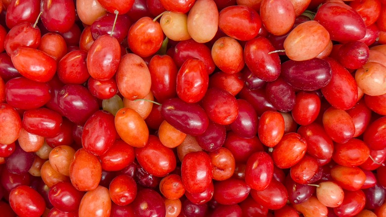 pile of fresh cranberries