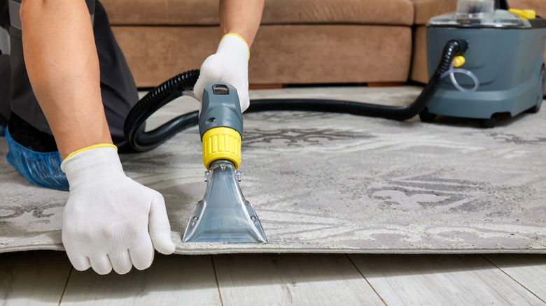 Person vaccuuming a carpet