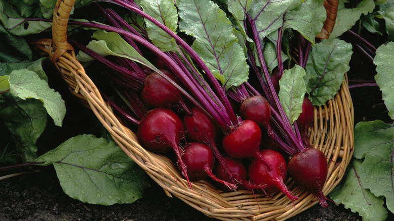beets in basket