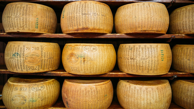 Parmagiana Reggiano wheels in a cheese cellar