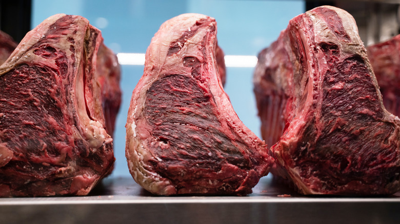 close up of dried aged meat