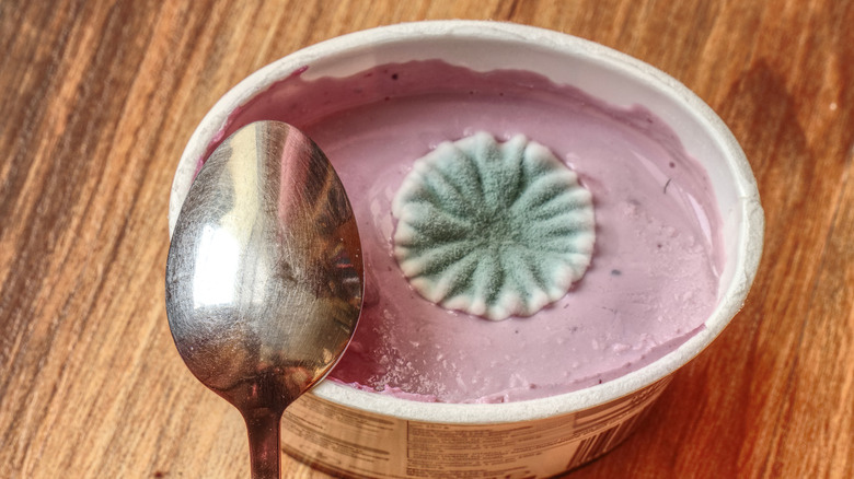 Mold in a cup of yogurt