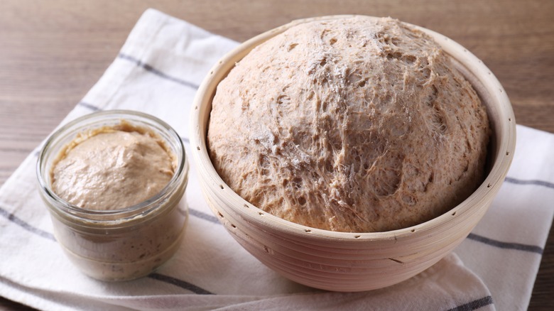 sourdough rising