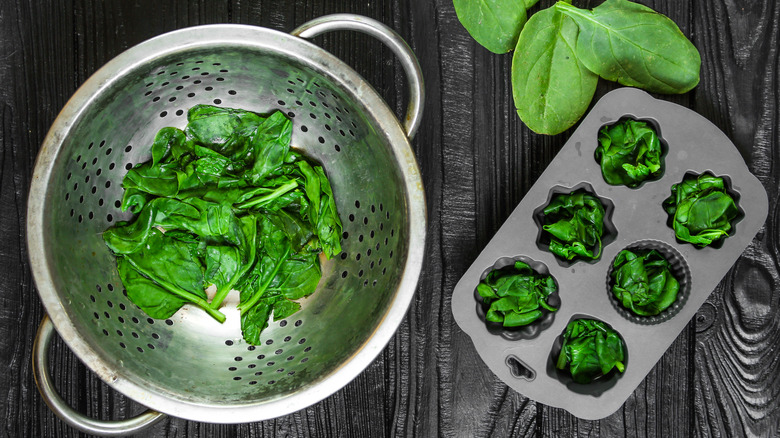 Spinach in a colander and muffin tin