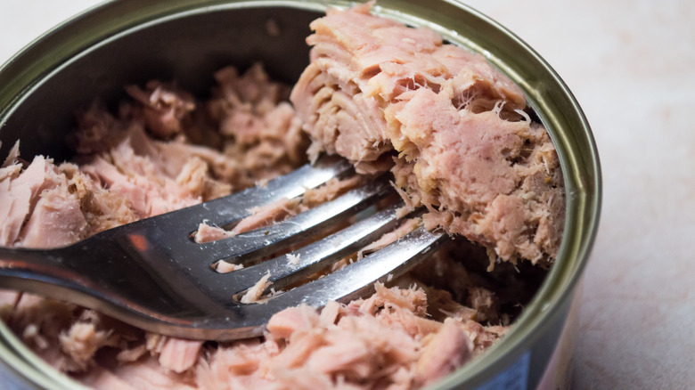 Can of tuna with fork