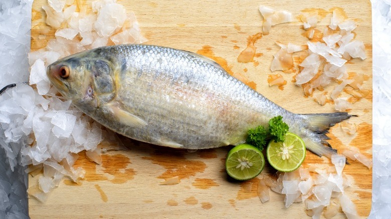 A whole fish sits on cutting board with ice and limes.