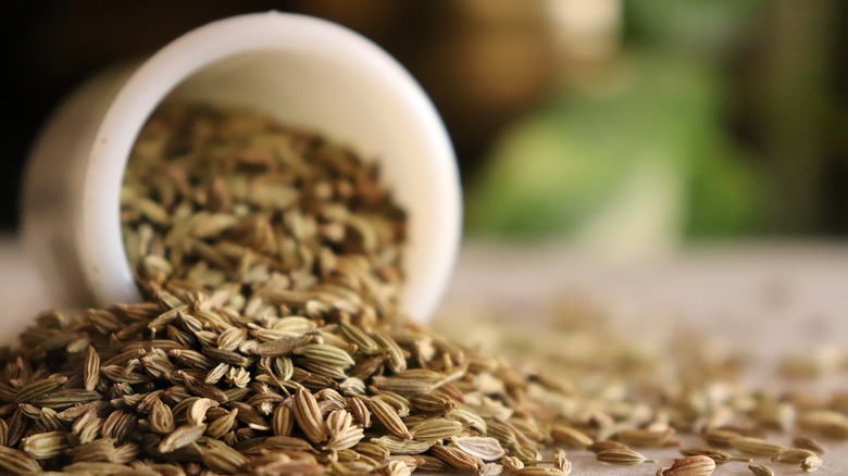 Fennel seeds spilling from cup