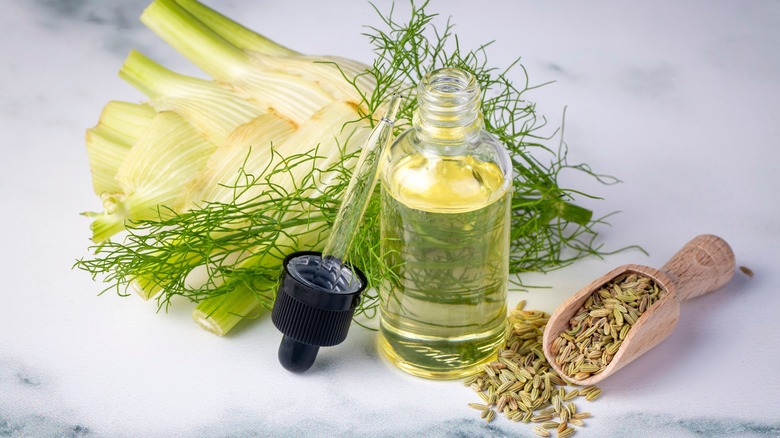 Fennel bulb, fronds, oil and seeds