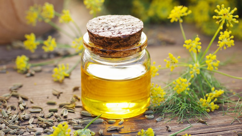 Fennel seeds, flowers, and essential oil