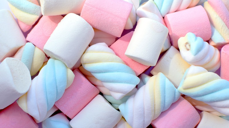 Close-up of multicolored marshmallows