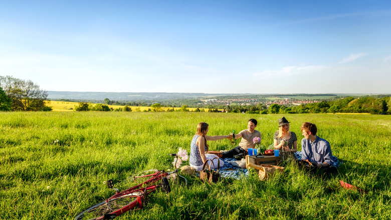People having picnic in field