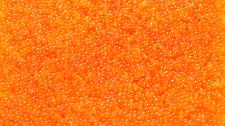 pile of flying fish roe