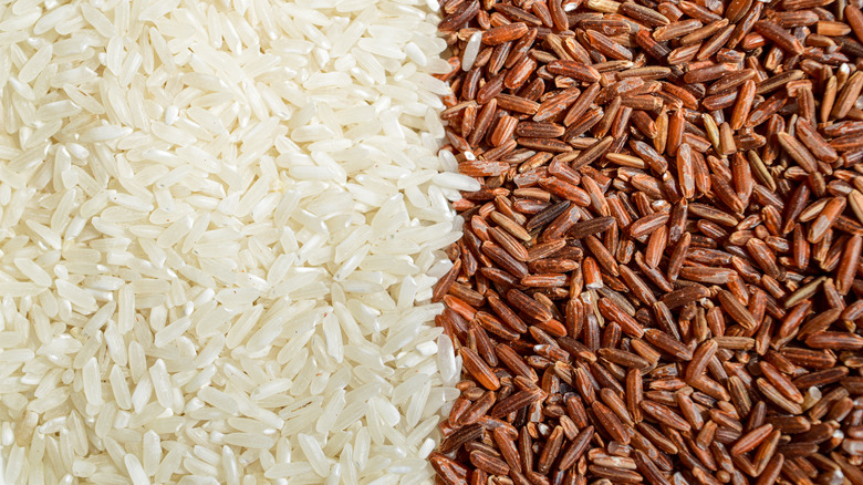 Two long grain rice types