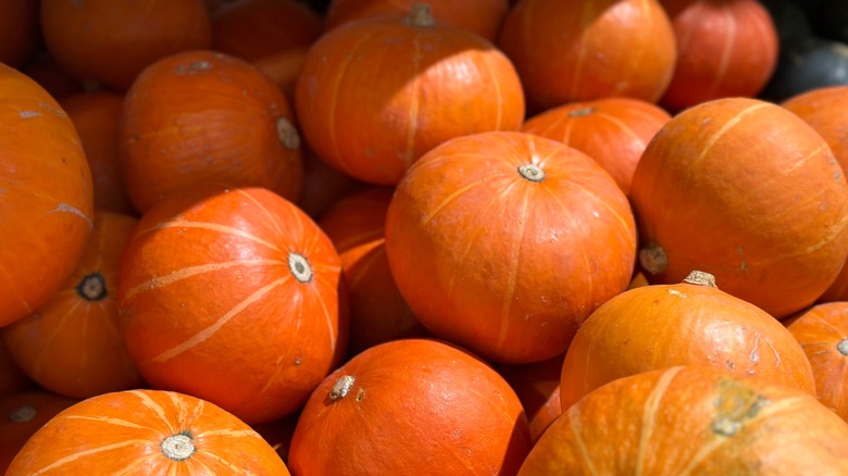 pile of small round pumpkins