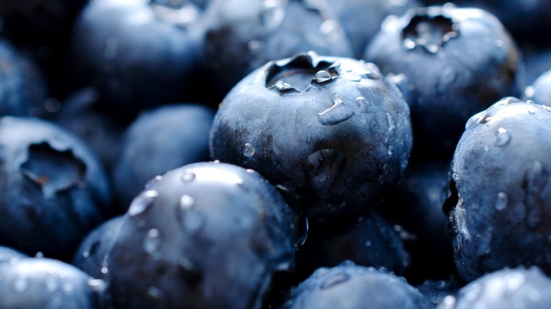 A closeup of blueberries with drops of water on them.