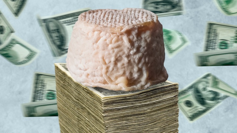 Pule cheese on money pile