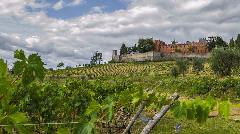 Brolio Castle and Ricasoli vineyards