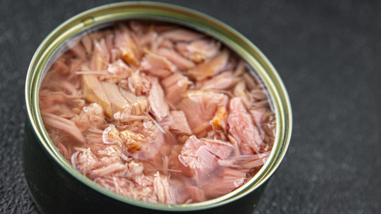 Caned Tuna Close Up