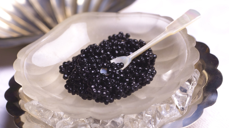 Black caviar in a dish with a spoon