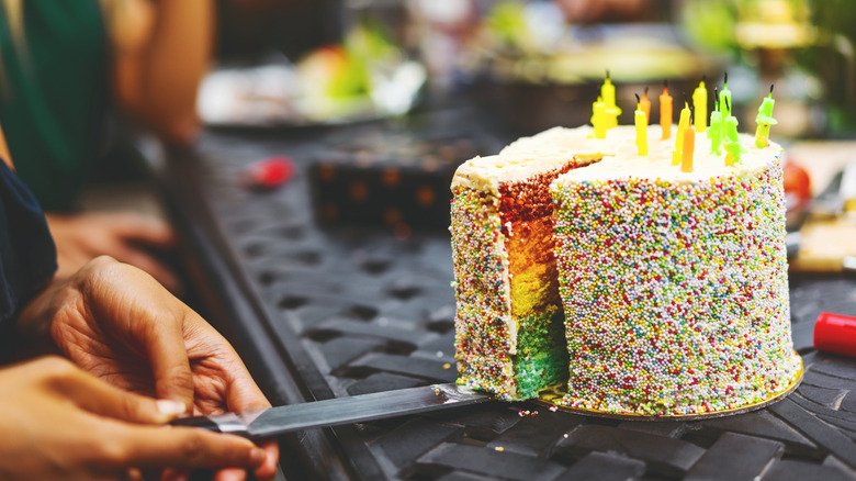 cutting a rainbow cake covered in sprinkles