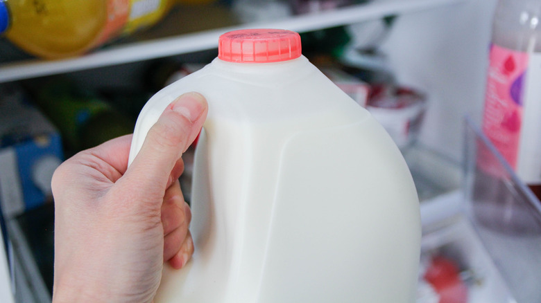 Person holding a plastic jug of milk in front of open fridge