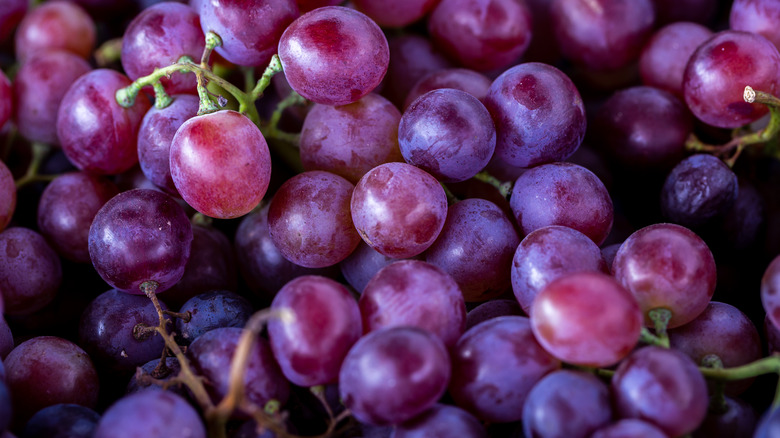 Close-up of purple grapes