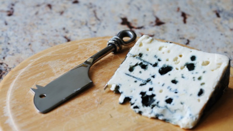 roquefort cheese with knife