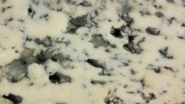 blue cheese mold closeup