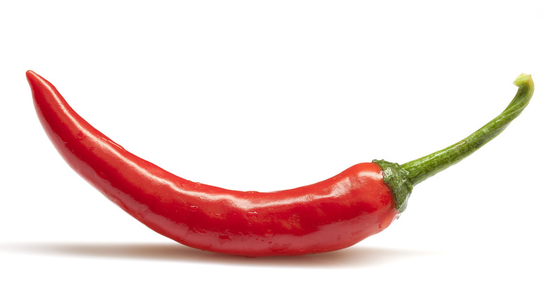 One red pepper on white background