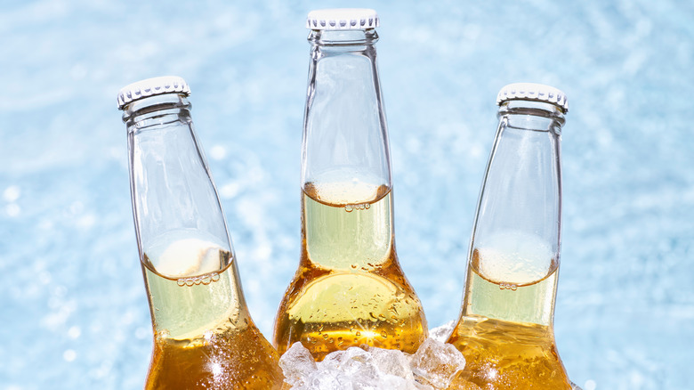 beer bottles in ice