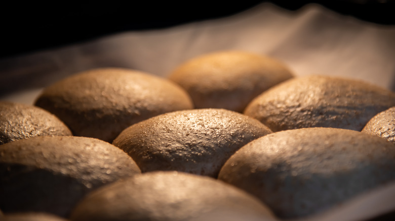 Buns rising in oven